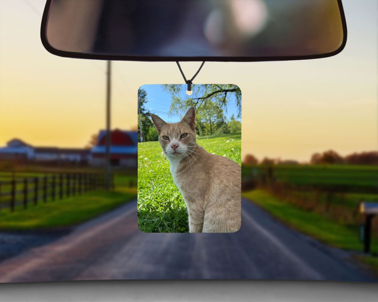 Personalized Unscented Car Air Freshener