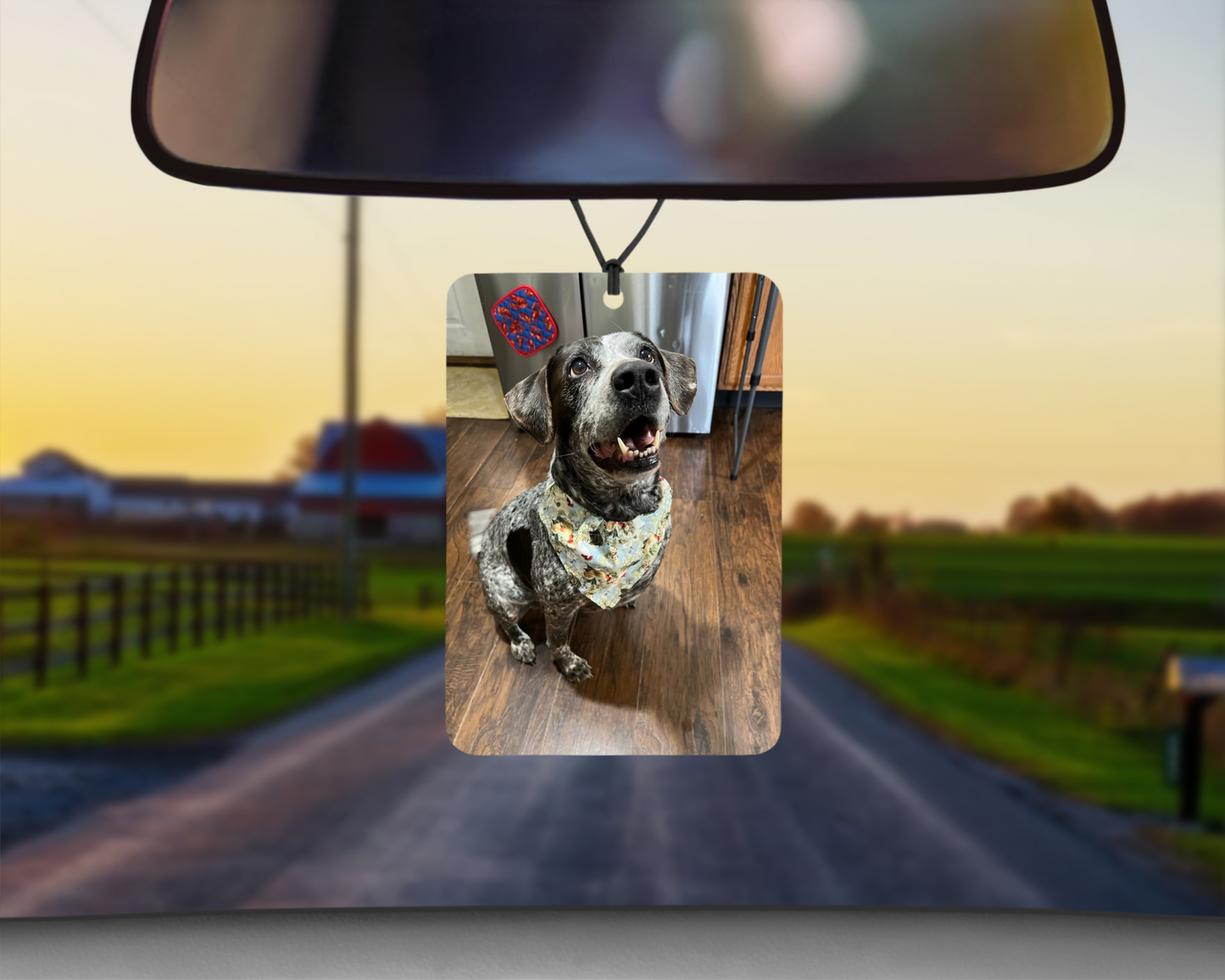 Personalized Unscented Car Air Freshener