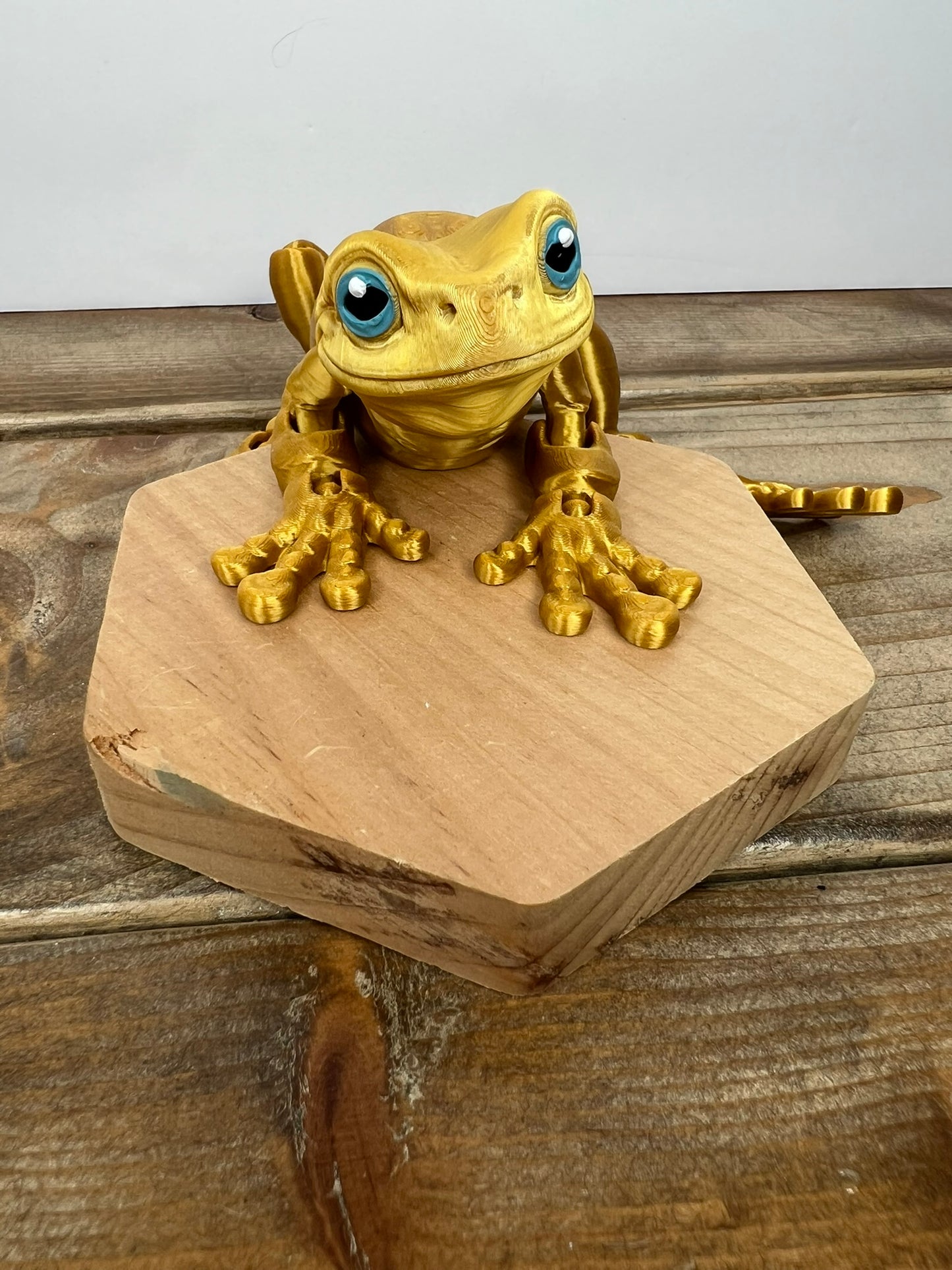 Magnetic Frog