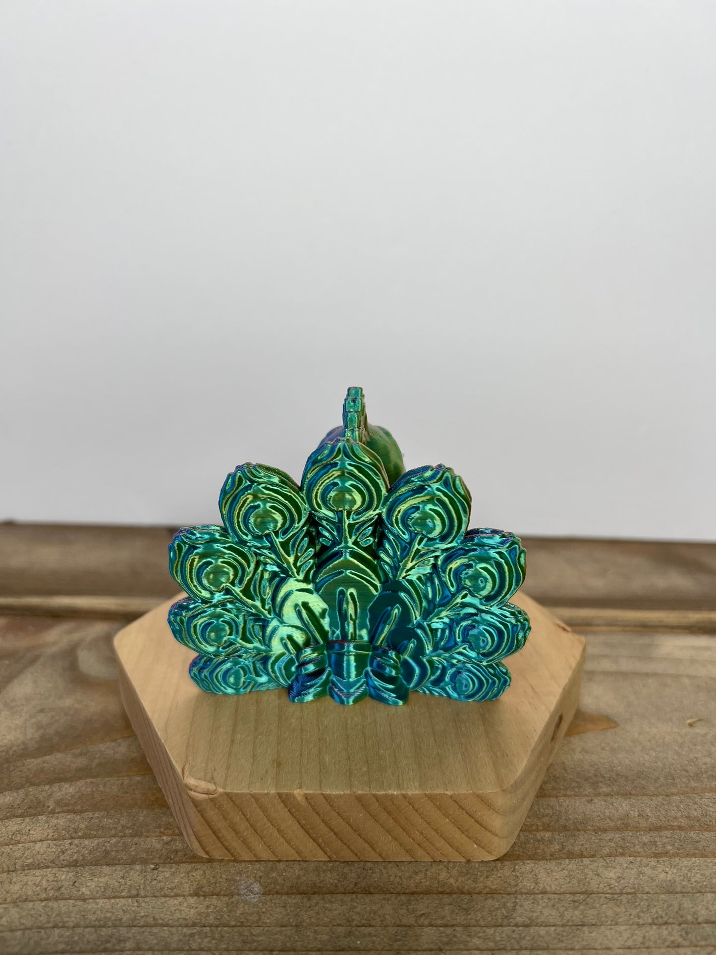 Fancy Feathered Peacock