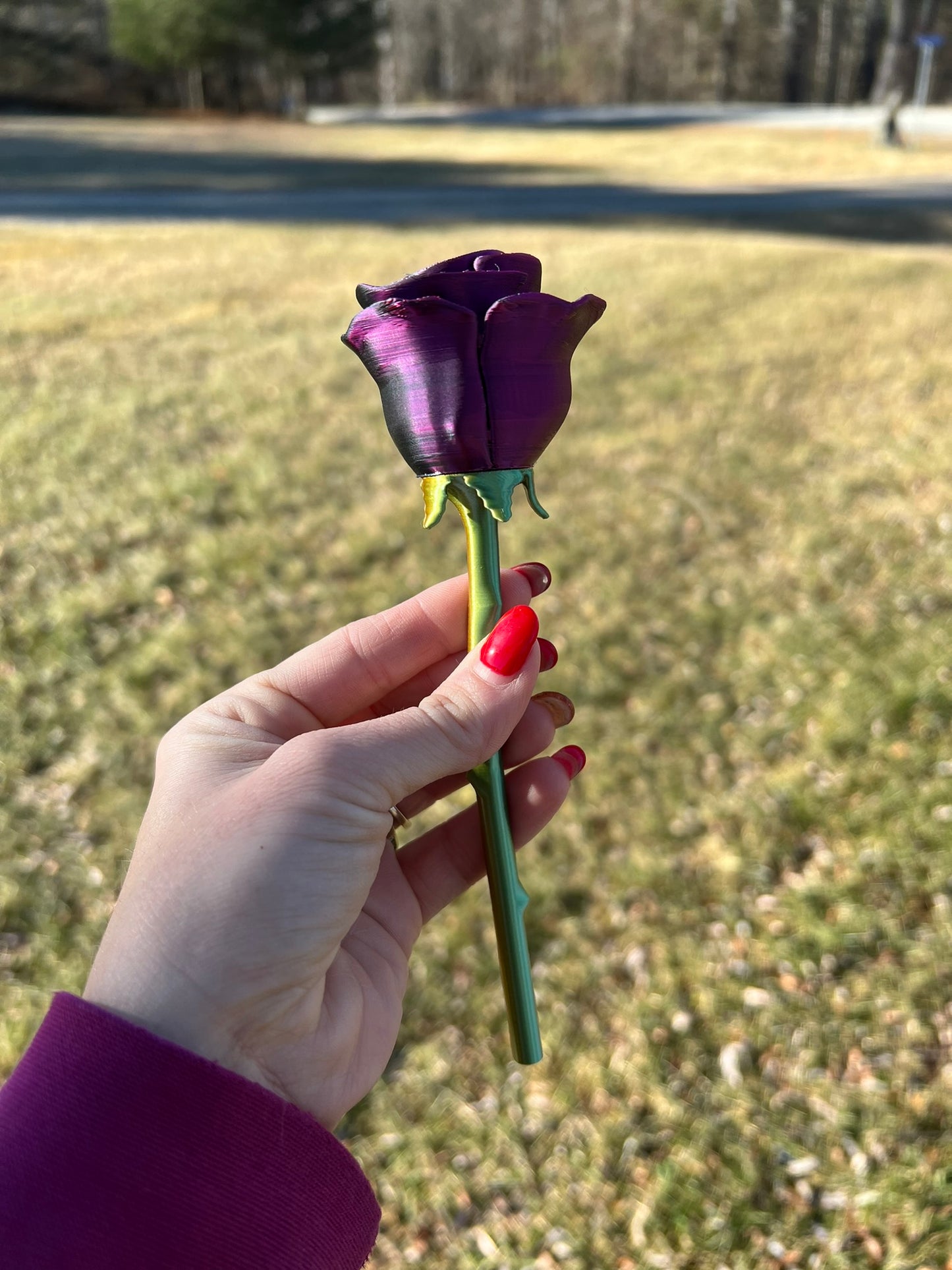 3D Printed Forever Rose