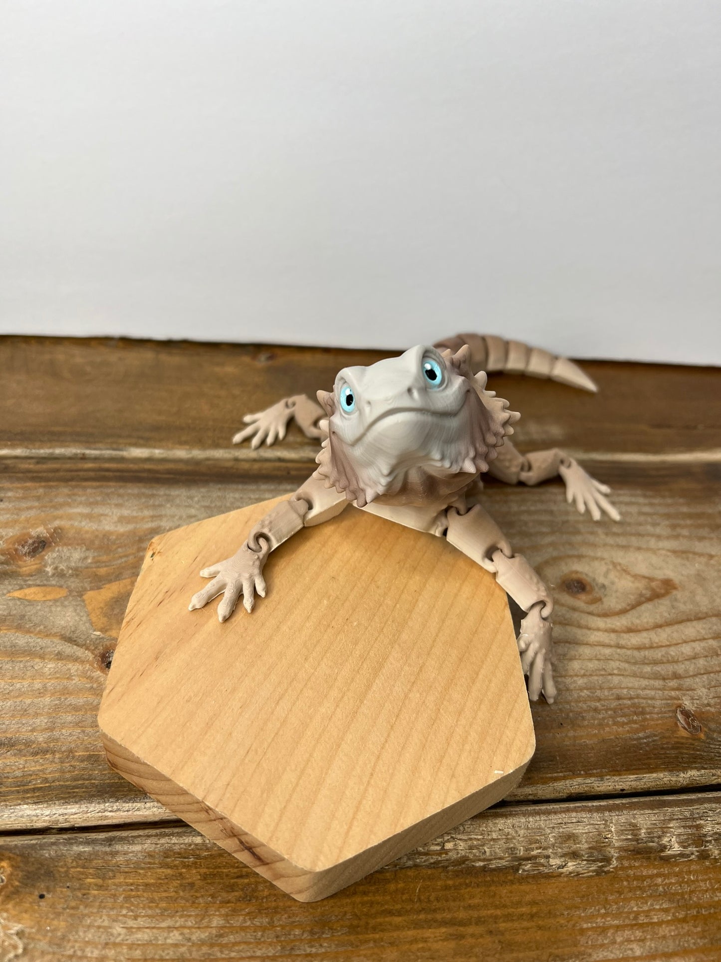 Fossil Rock Bearded Dragon