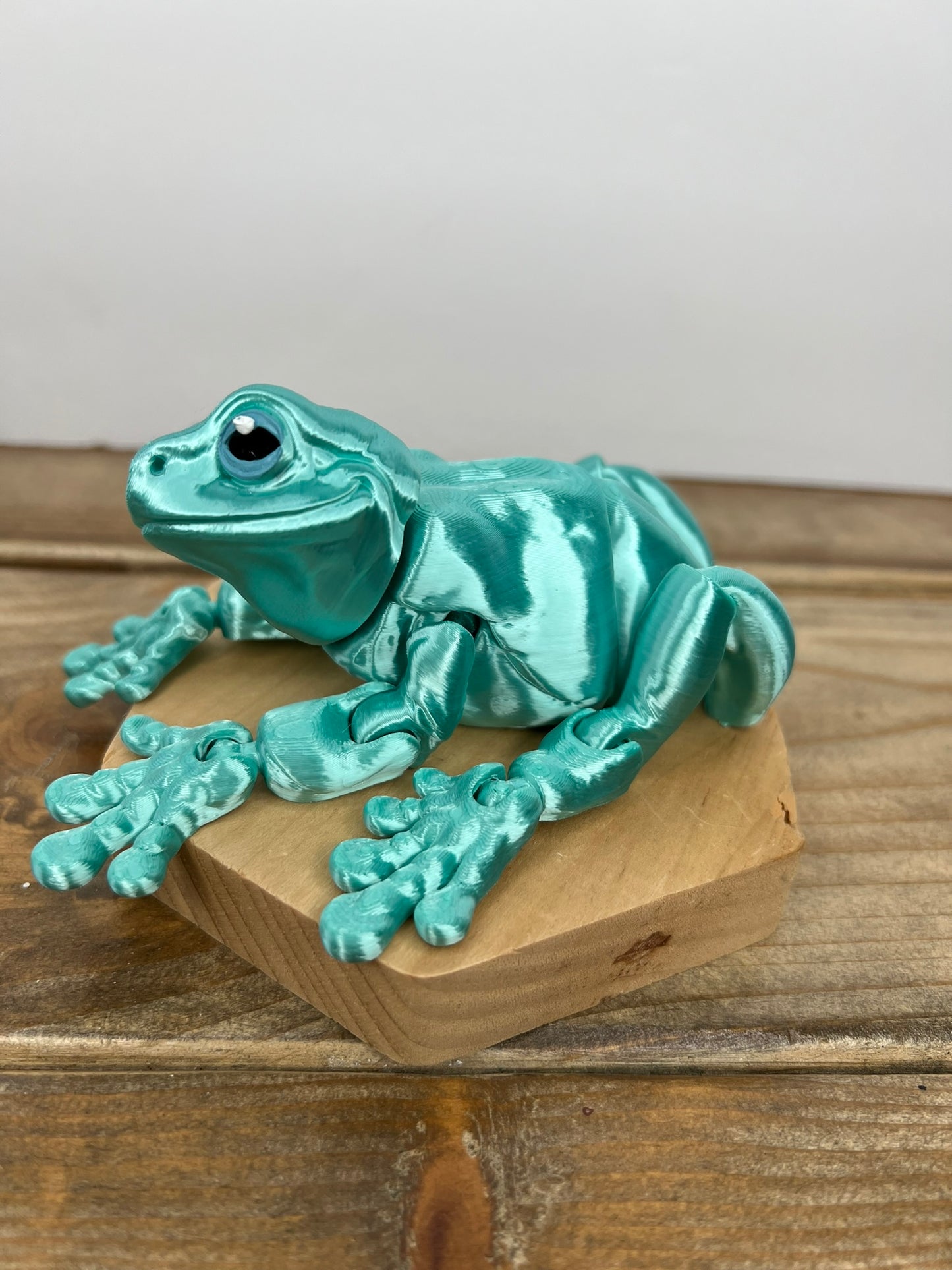 Magnetic Frog