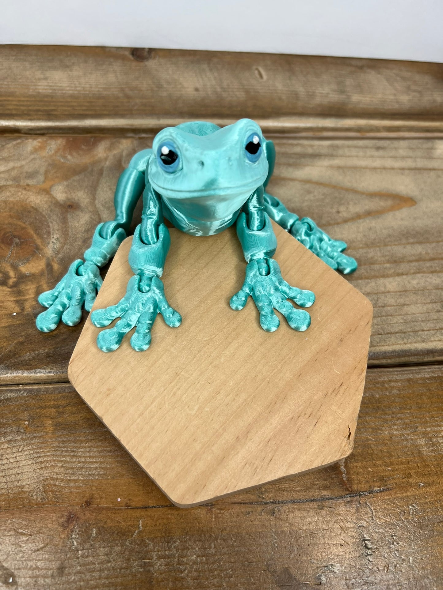 Magnetic Frog