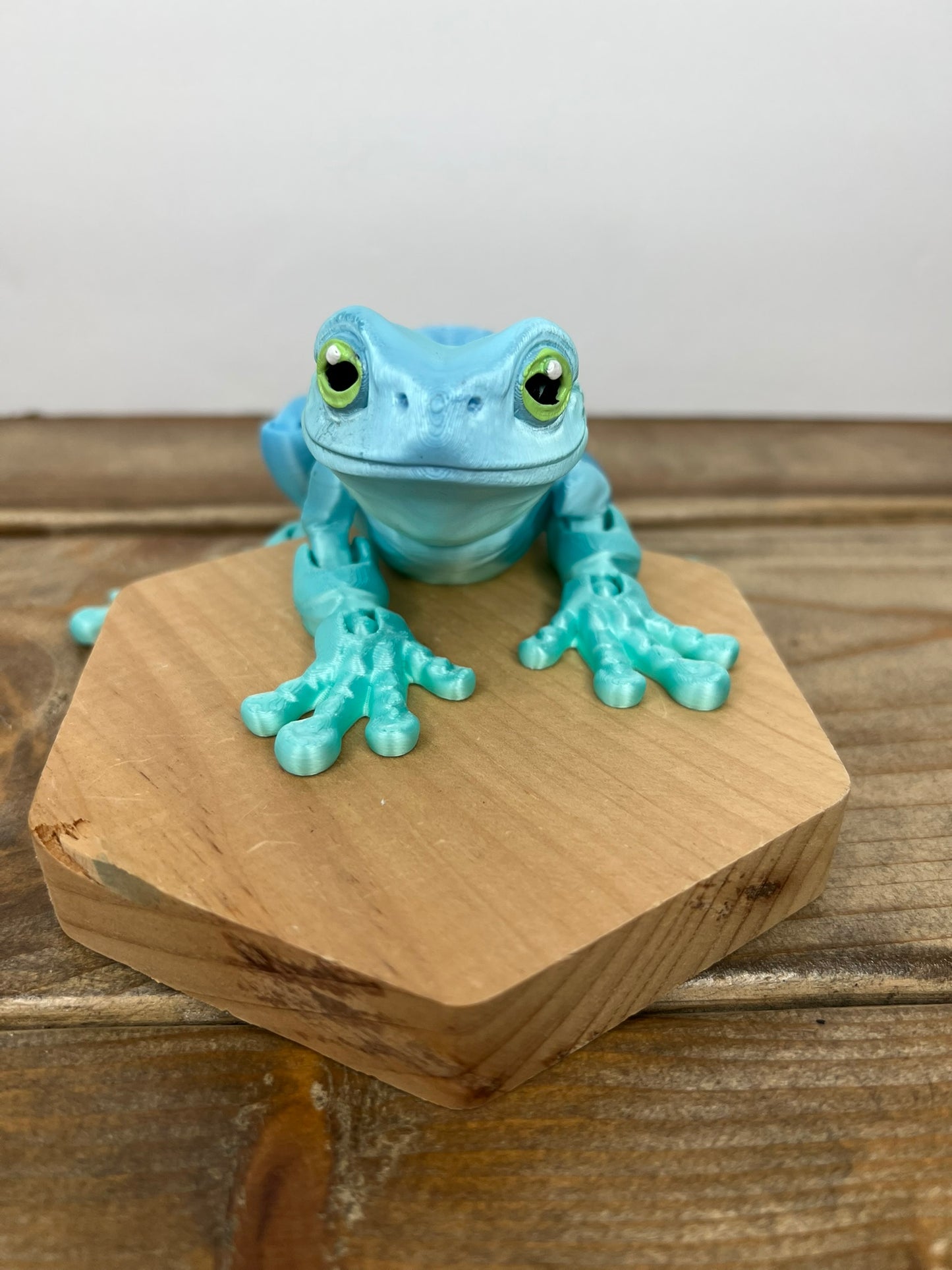 Magnetic Frog
