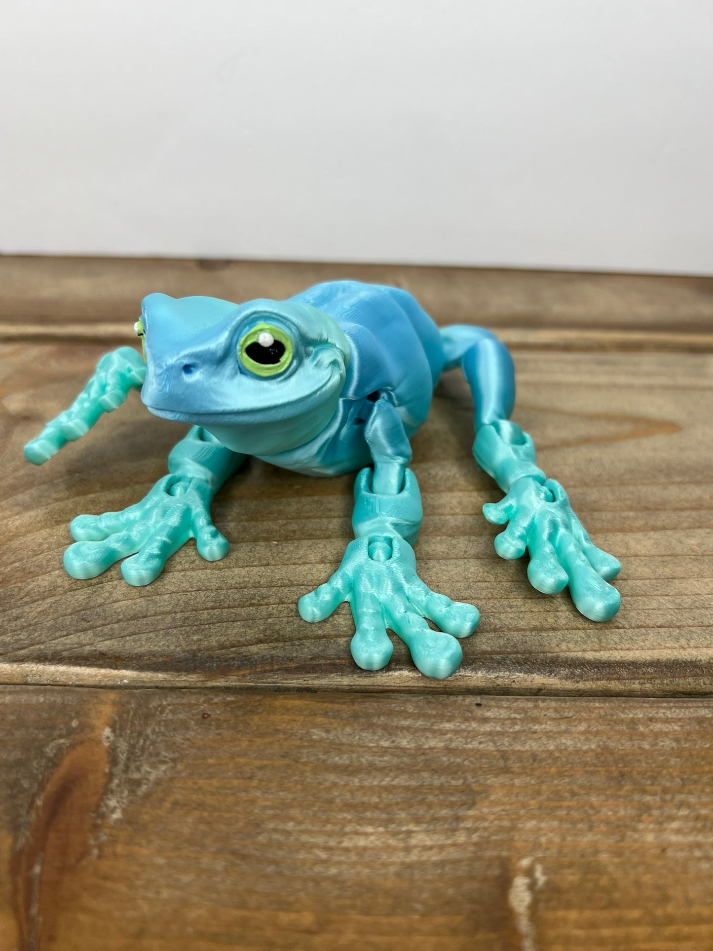 Magnetic Frog