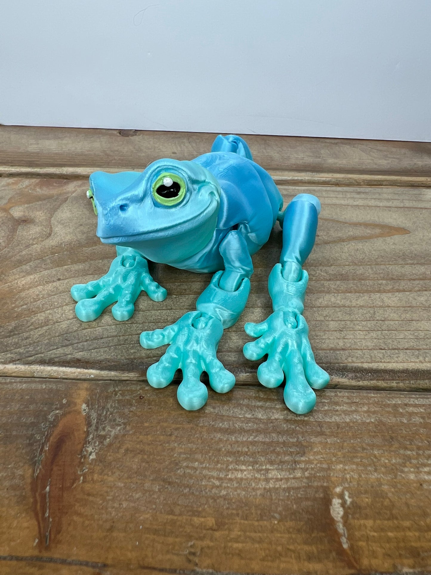 Magnetic Frog