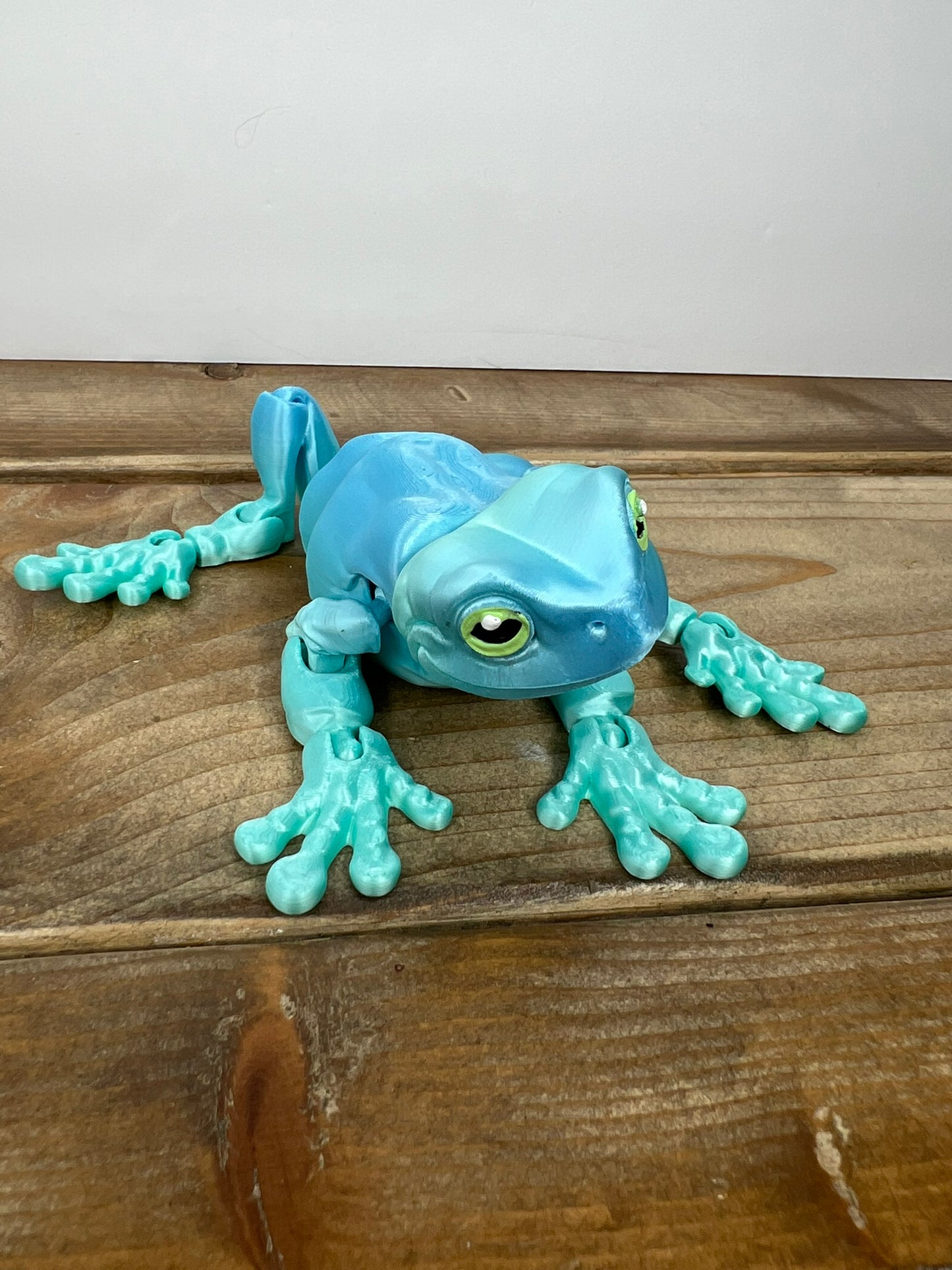 Magnetic Frog