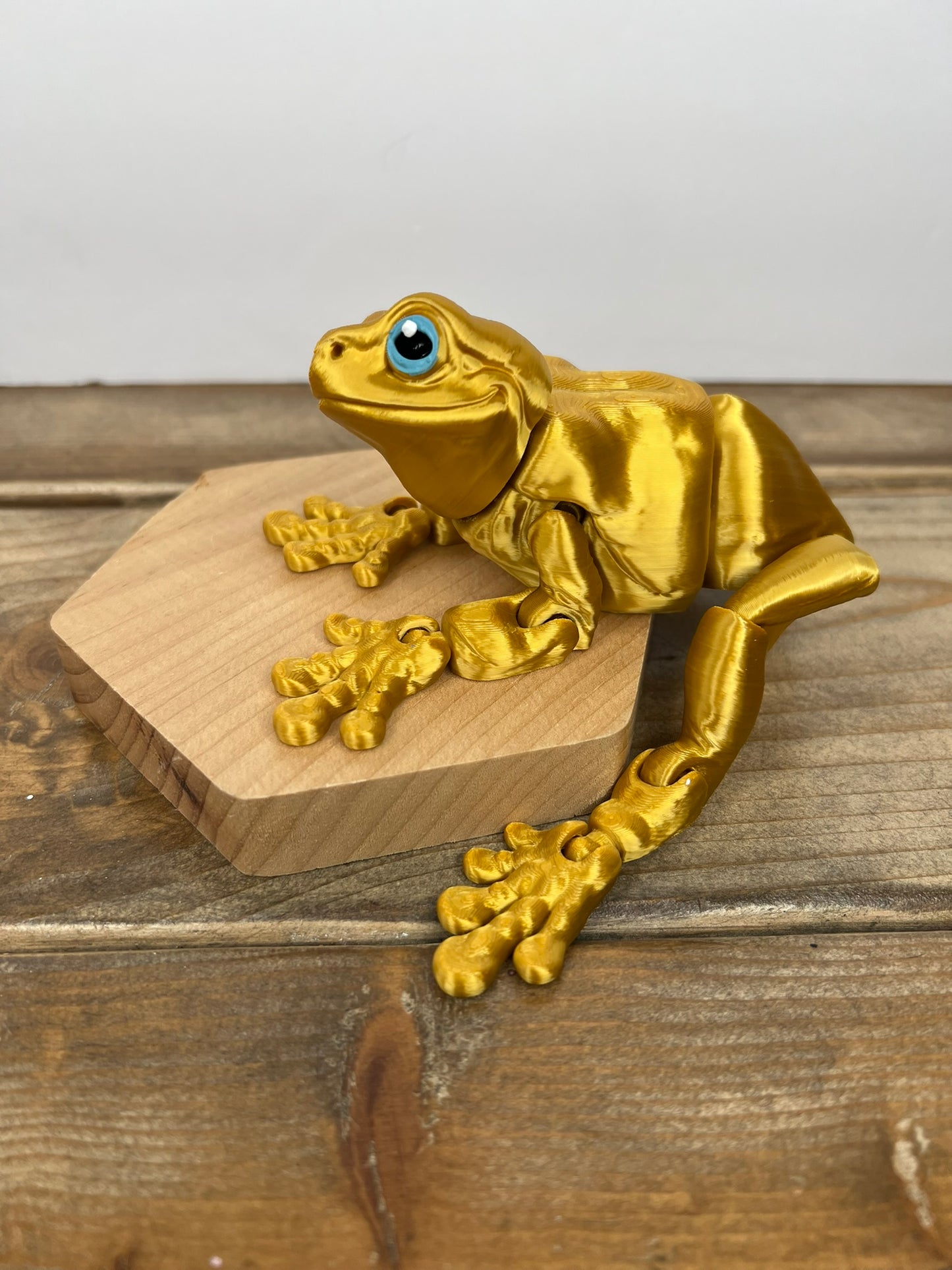 Magnetic Frog
