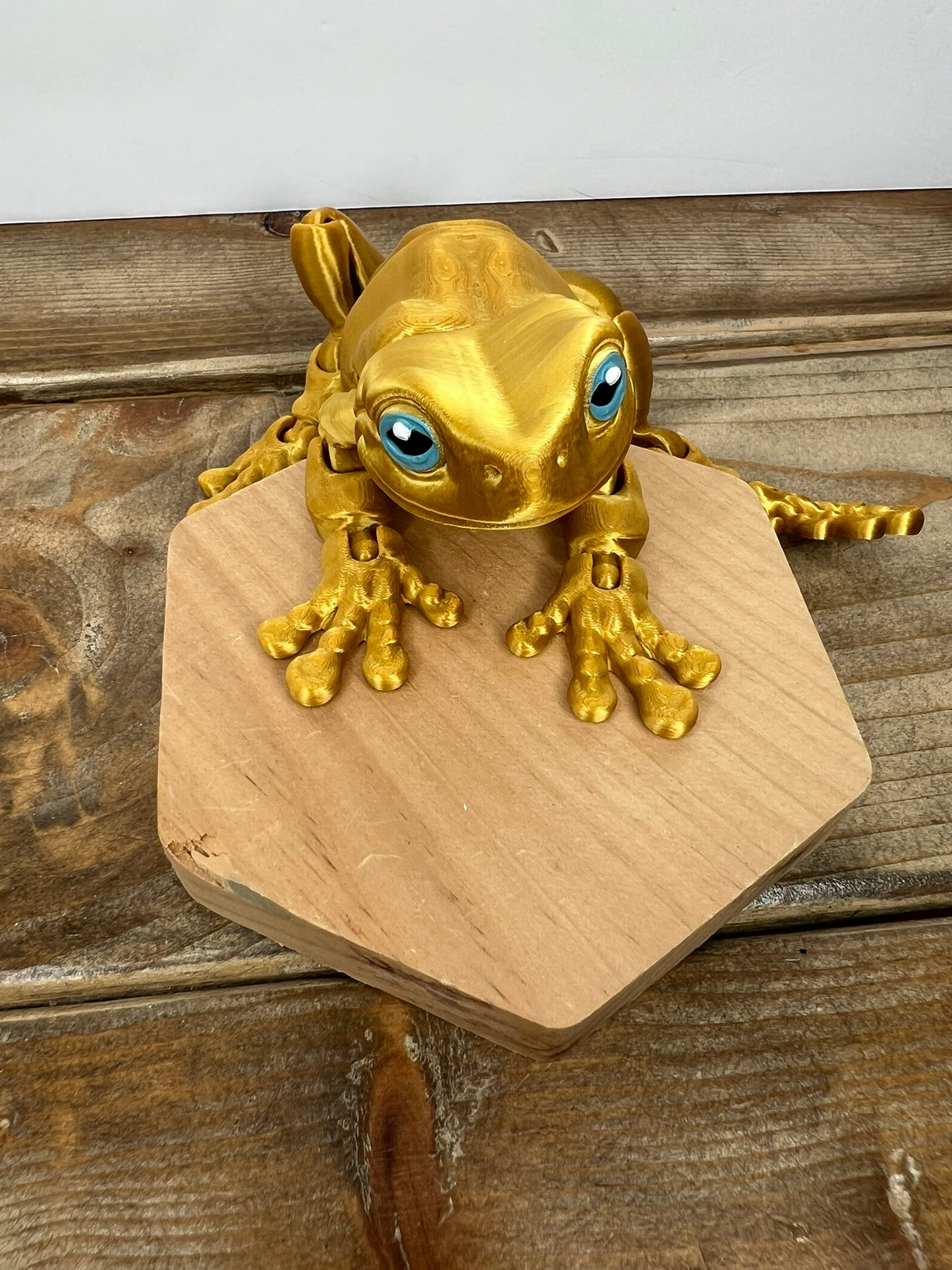 Magnetic Frog