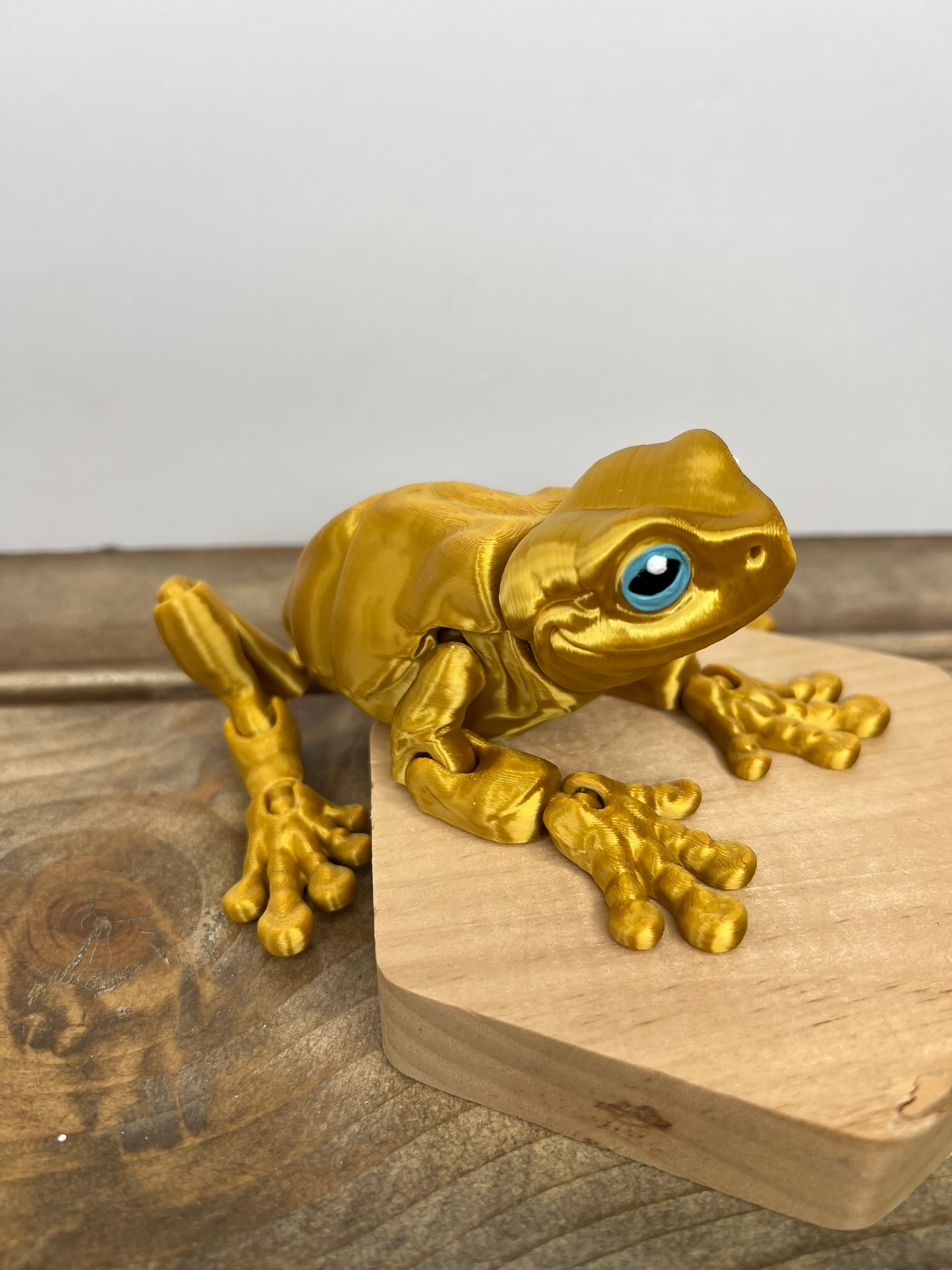 Magnetic Frog