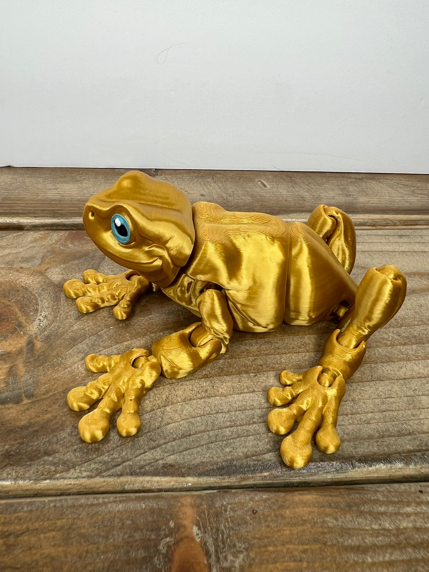 Magnetic Frog